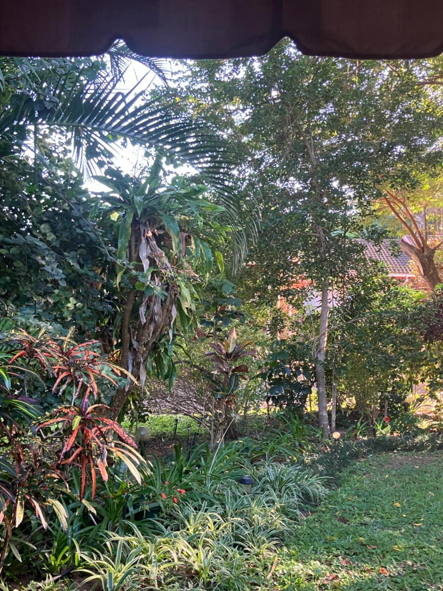 El Seuno De Africa -The Dream Of Africa Villa St. Lucia Exterior photo